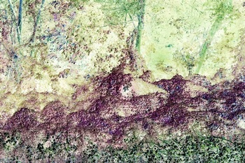 N 148B
